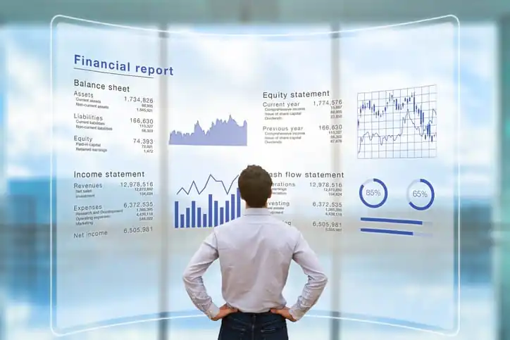 Virtual CFO Services