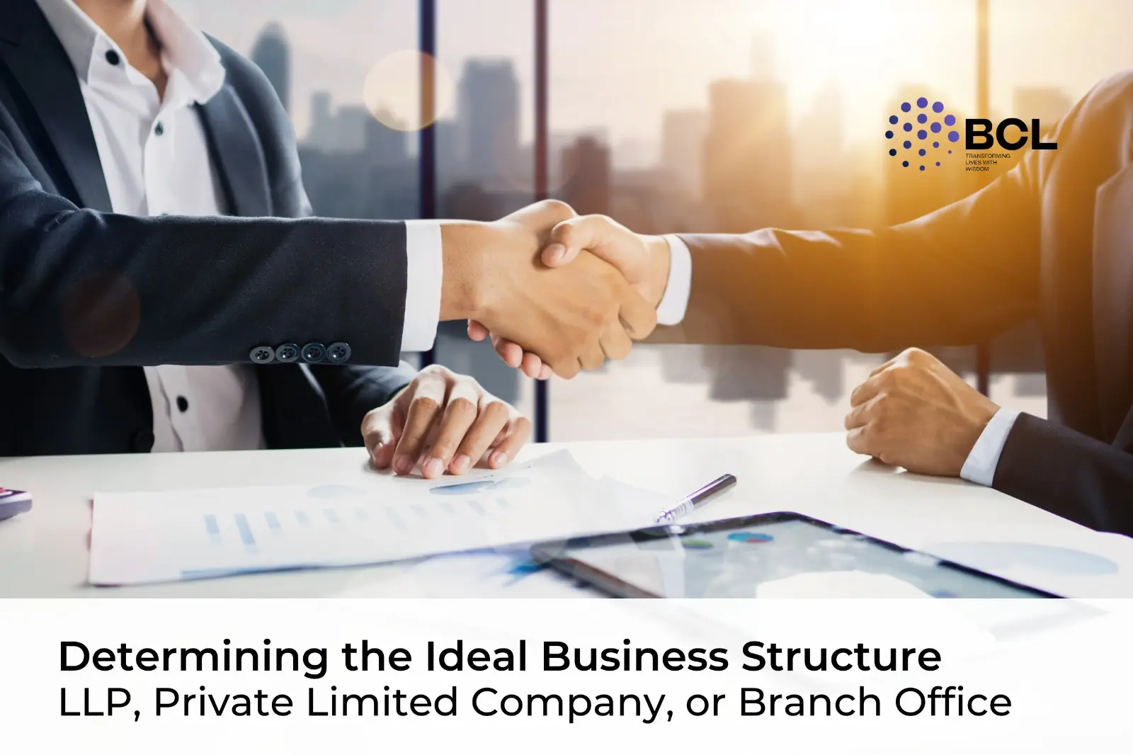 Determining the Ideal Business Structure: