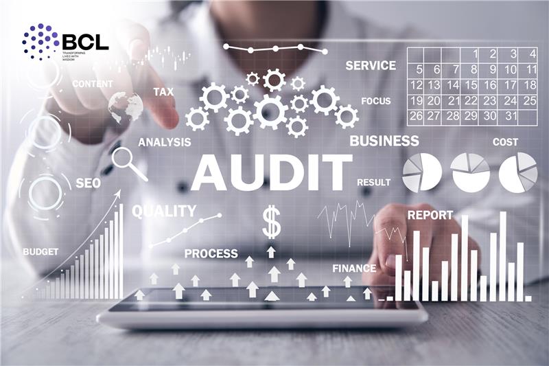 Internal Audit Services